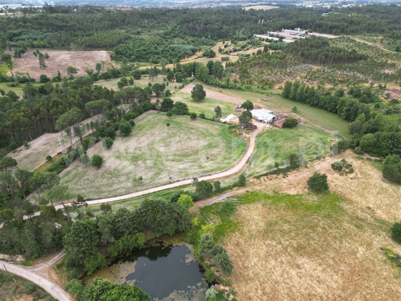 Quinta / Nelas, Carvalhal Redondo e Aguieira