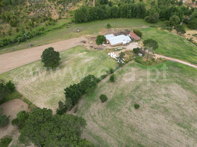 Quinta  com Agrícola Nelas, Carvalhal Redondo e Aguieira - 1484113 - 16