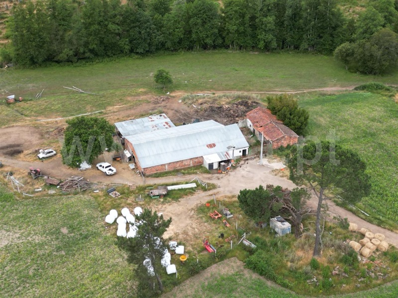 Quinta  com Agrícola Nelas, Carvalhal Redondo e Aguieira - 1484113 - 17