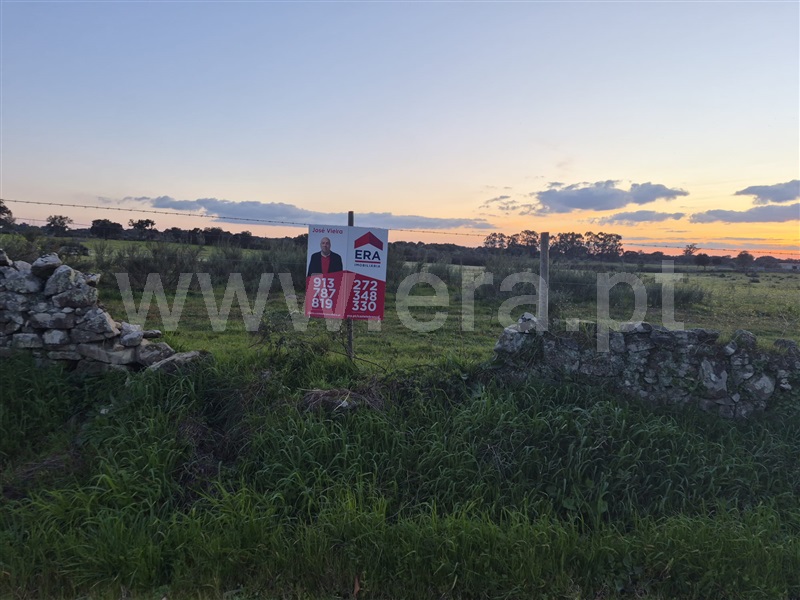 Terreno / Nisa, Alpalhão