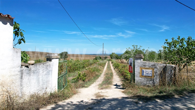 Quinta / Nisa, Espírito Santo, Nossa Senhora da Graça e São Simão