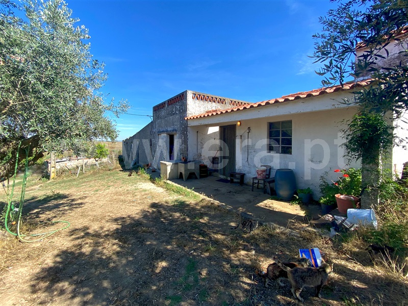 Quinta  Nisa, Nisa - 1415403 - 8