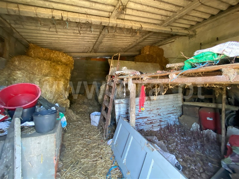 Quinta  Nisa, Nisa - 1415403 - 23