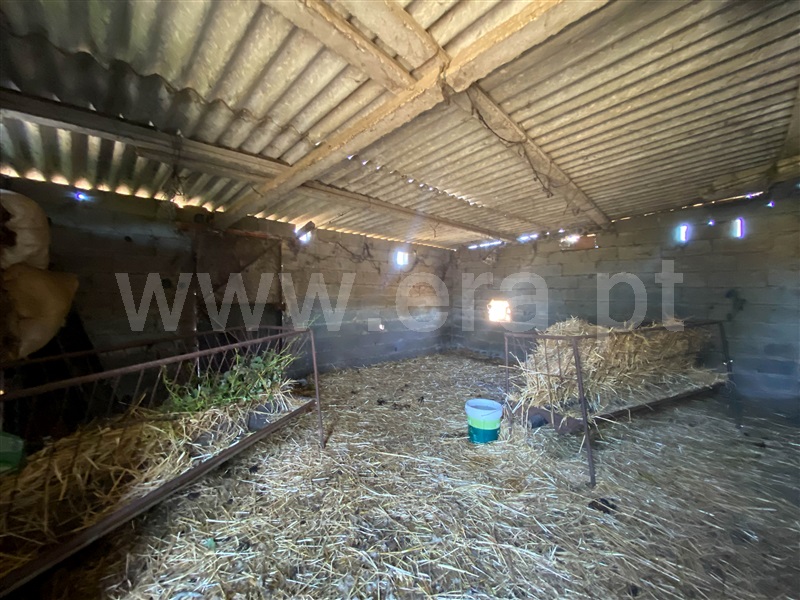 Quinta  Nisa, Nisa - 1415403 - 24