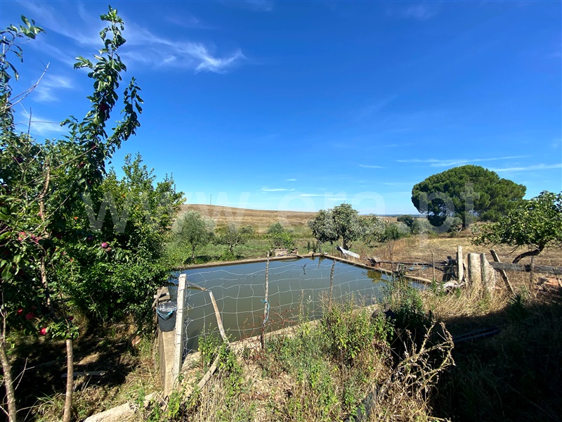 Quinta  Nisa, Nisa - 1415403 - 28