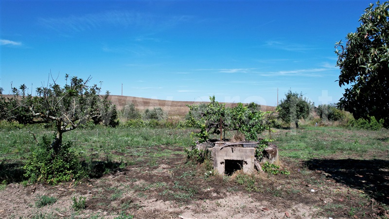 Quinta  Nisa, Nisa - 1415403 - 30