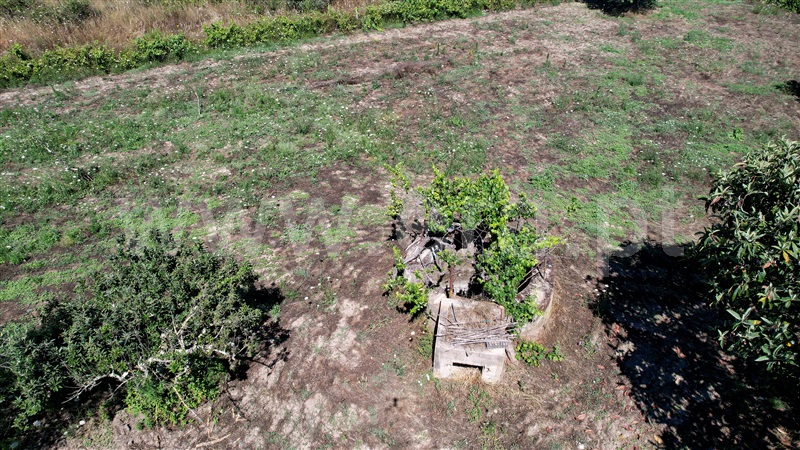Quinta  Nisa, Nisa - 1415403 - 31