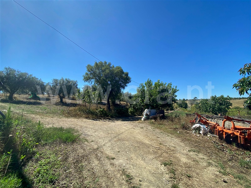 Quinta  Nisa, Nisa - 1415403 - 32