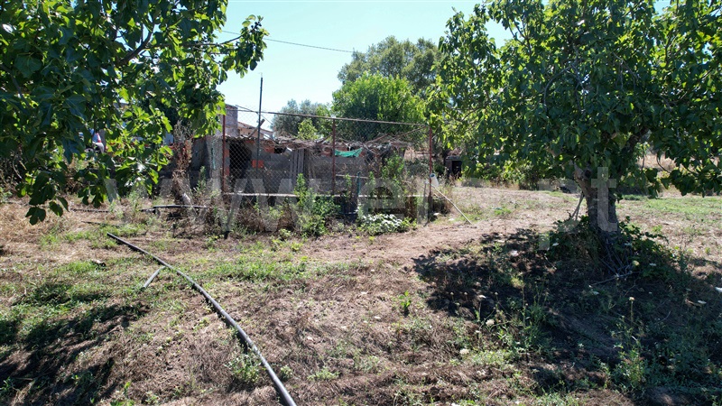Quinta  Nisa, Nisa - 1415403 - 33