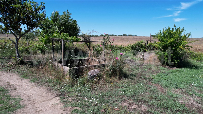 Quinta  Nisa, Nisa - 1415403 - 34