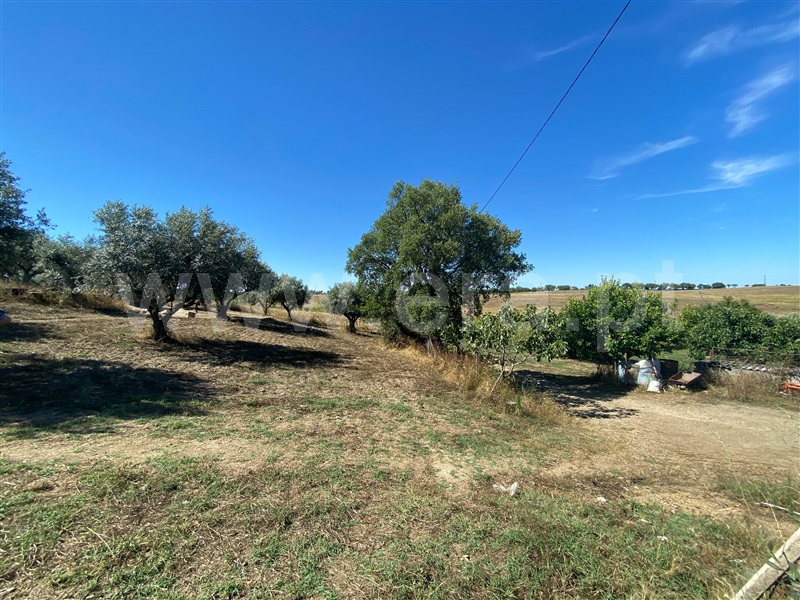 Quinta  Nisa, Nisa - 1415403 - 37