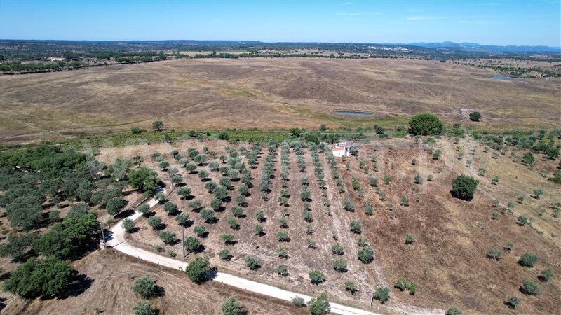 Quinta  Nisa, Nisa - 1415403 - 38