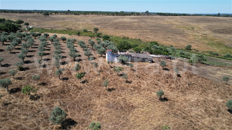 Quinta  Nisa, Nisa - 1415403 - 40