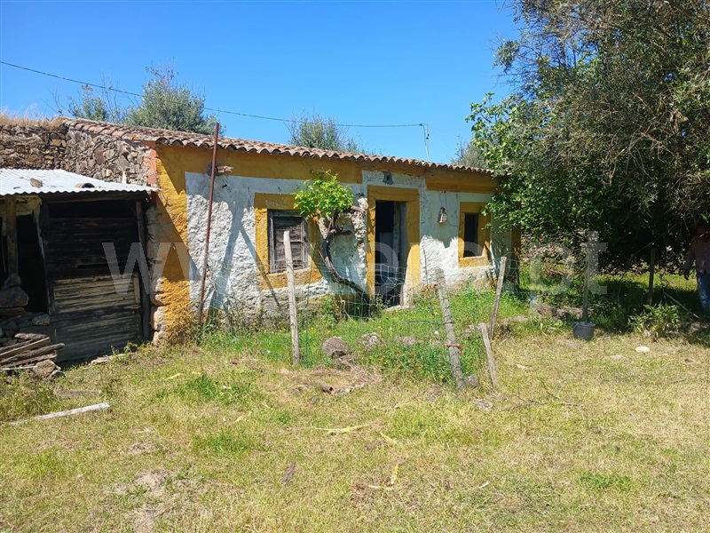 Quinta / Nisa, Nisa