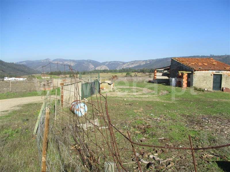 Quinta / Nisa, Santana