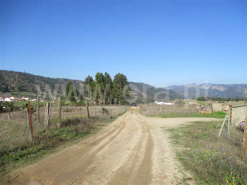 Quinta  Nisa, Santana - 1250507 - 4
