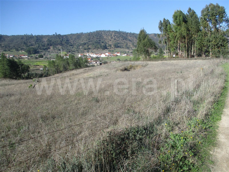 Quinta  Nisa, Santana - 1250507 - 5