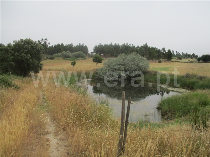 Quinta  Nisa, Santana - 1250507 - 17