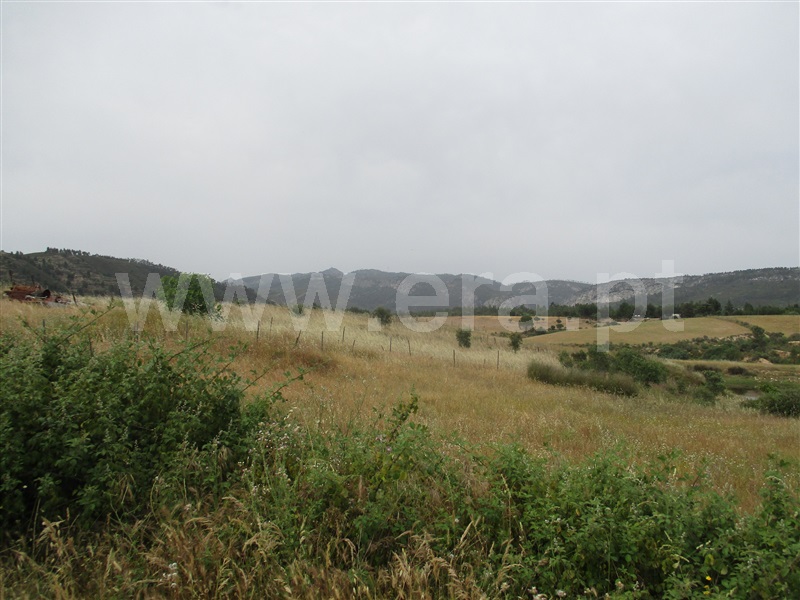 Quinta  Nisa, Santana - 1250507 - 21