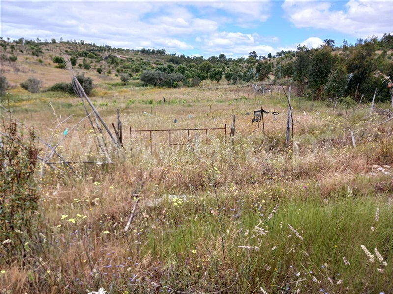 Quinta  Nisa, Monte Pardo - 1406663 - 4
