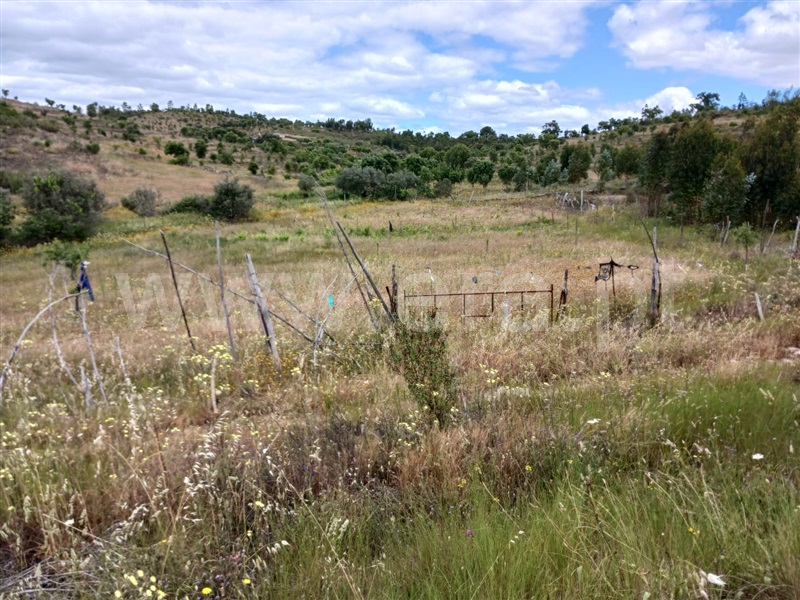 Quinta  Nisa, Monte Pardo - 1406663 - 10