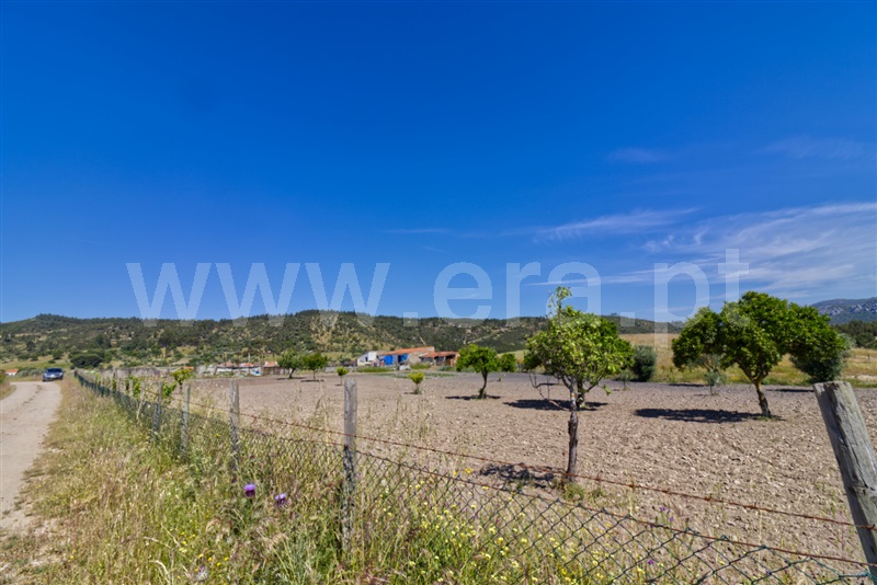 Quinta  Nisa, Santana - 1482700 - 10