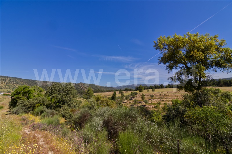 Quinta  Nisa, Santana - 1482700 - 17