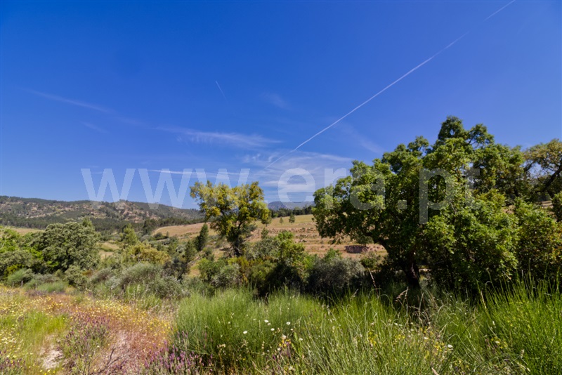 Quinta  Nisa, Santana - 1482700 - 18