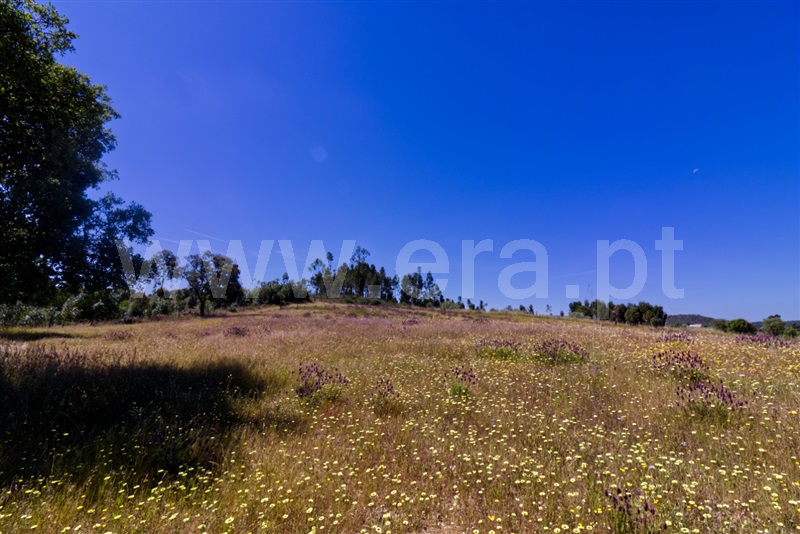 Quinta  Nisa, Santana - 1482700 - 21