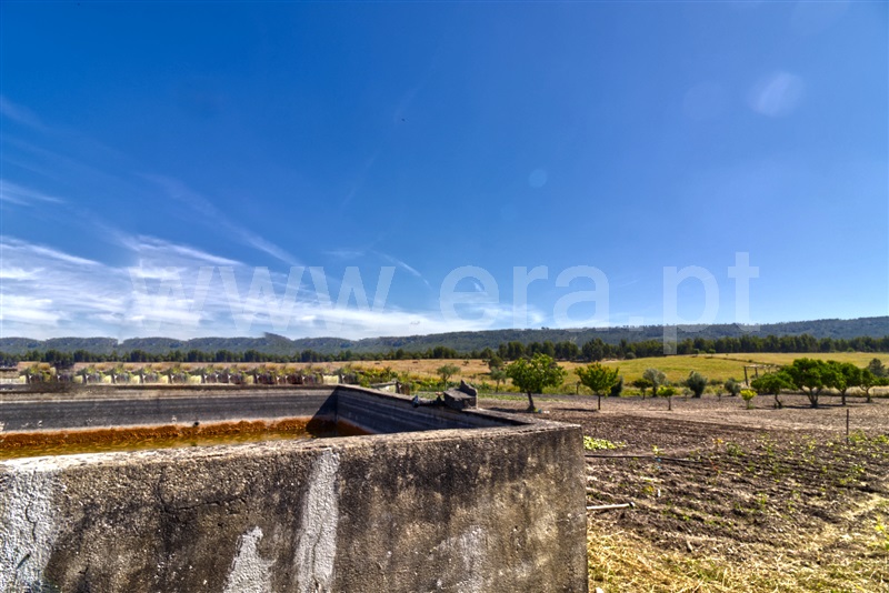 Quinta  Nisa, Santana - 1482700 - 21