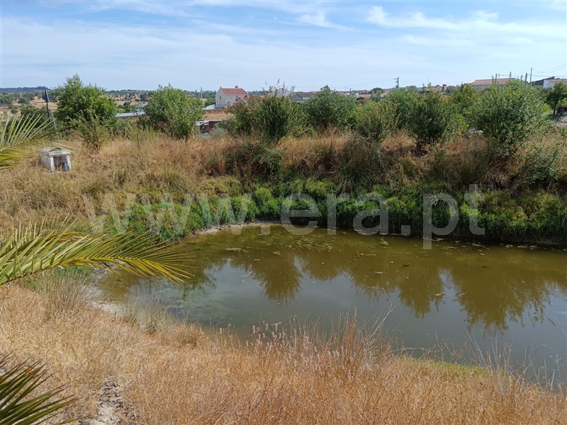 Quinta  Nisa, Santana - 1497805 - 2