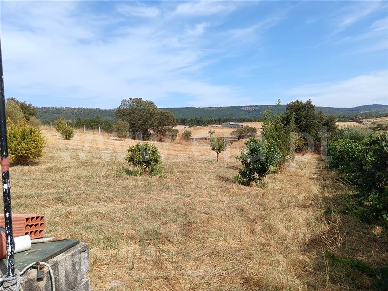 Quinta  Nisa, Santana - 1497805 - 3