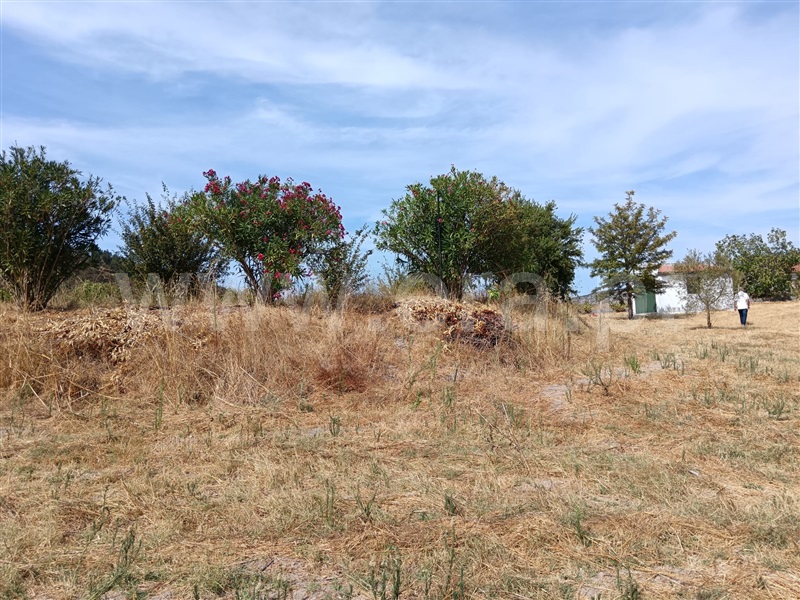 Quinta  Nisa, Santana - 1497805 - 4