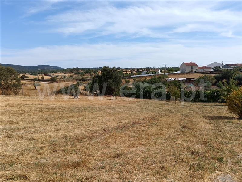 Quinta  Nisa, Santana - 1497805 - 7