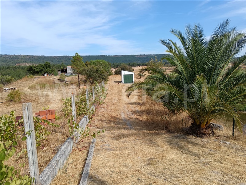 Quinta  Nisa, Santana - 1497805 - 8
