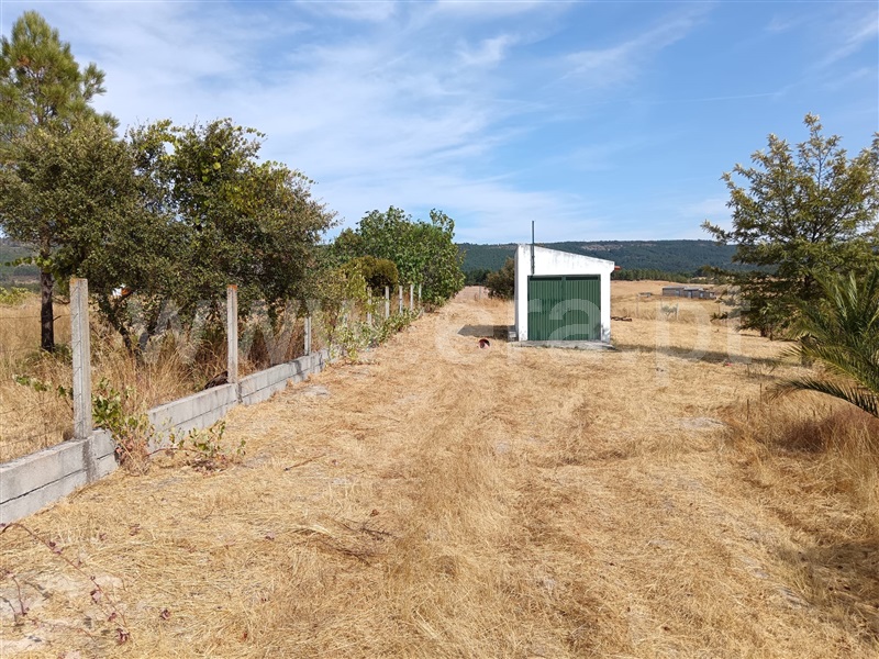 Quinta  Nisa, Santana - 1497805 - 9