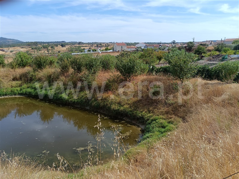 Quinta  Nisa, Santana - 1497805 - 10