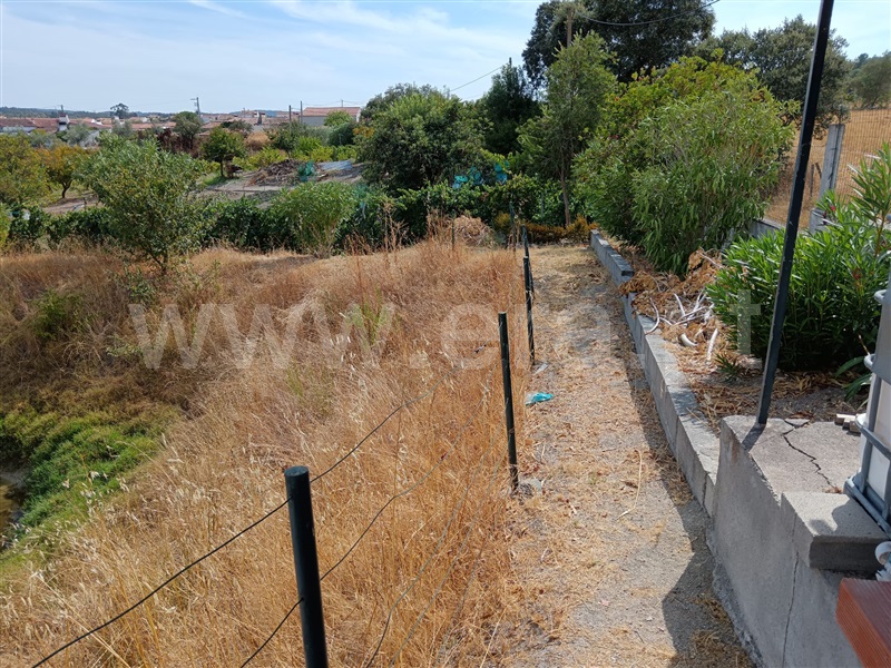 Quinta  Nisa, Santana - 1497805 - 11