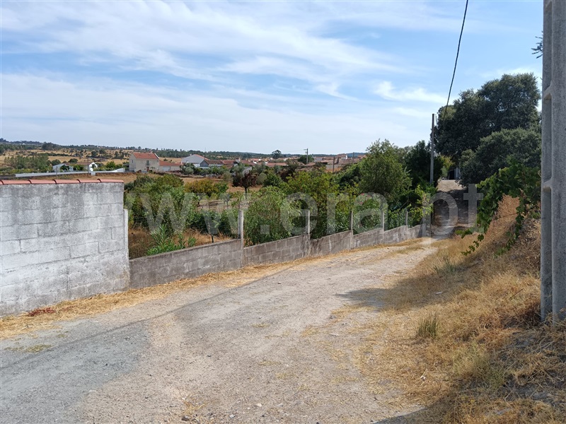 Quinta  Nisa, Santana - 1497805 - 12