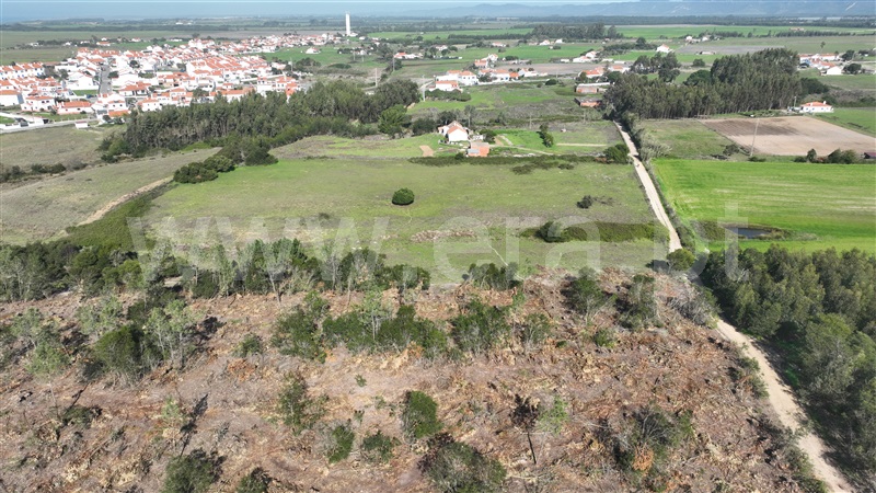 Quinta  Odemira, Almograve Longueira - 1357756 - 5