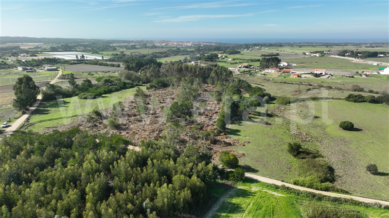 Quinta  Odemira, Almograve Longueira - 1357756 - 5