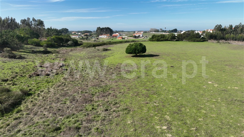 Quinta  Odemira, Almograve Longueira - 1357756 - 6