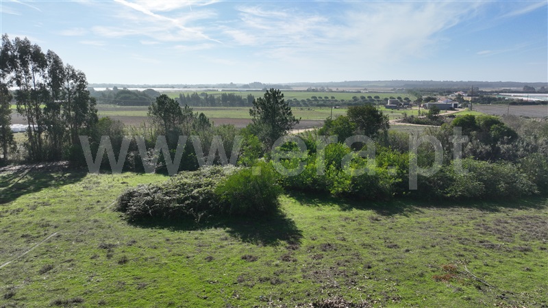 Quinta  Odemira, Almograve Longueira - 1357756 - 8