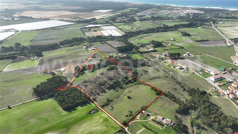 Quinta  Odemira, Almograve Longueira - 1357756 - 13