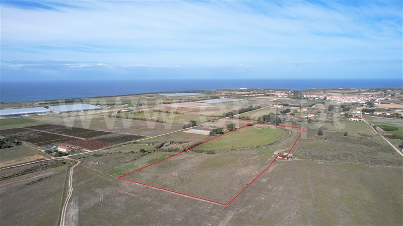 Quinta  Odemira, Cavaleiro - 1234754 - 13