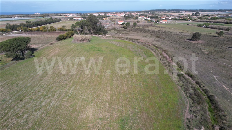 Quinta  Odemira, Cavaleiro - 1234754 - 18