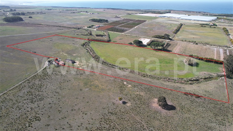 Quinta  Odemira, Cavaleiro - 1234754 - 19