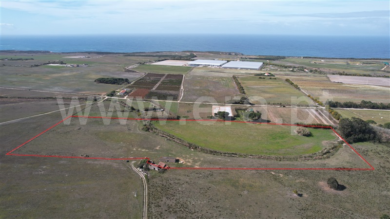 Quinta  Odemira, Cavaleiro - 1234754 - 20