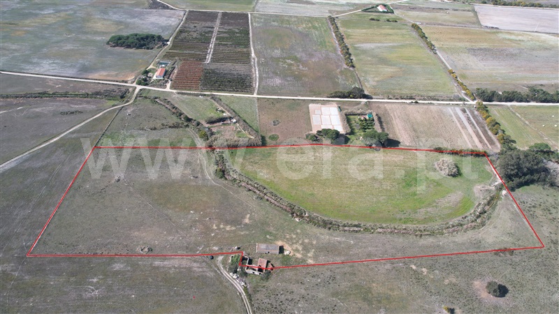 Quinta  Odemira, Cavaleiro - 1234754 - 21
