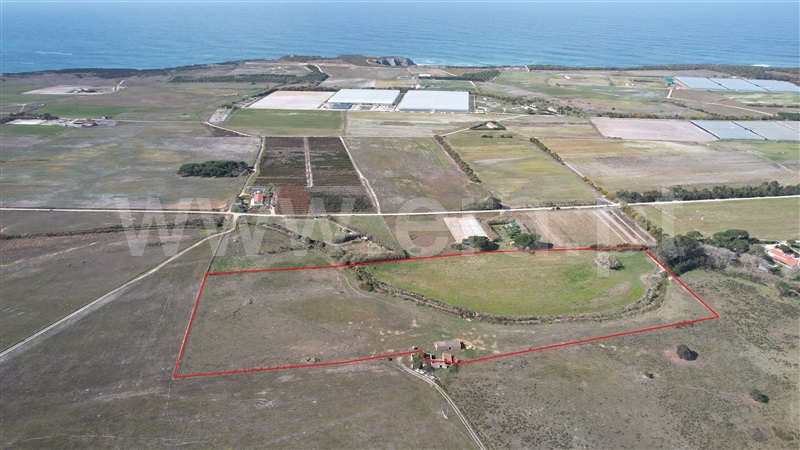 Quinta  Odemira, Cavaleiro - 1234754 - 23